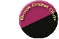 Brook Cricket Club logo